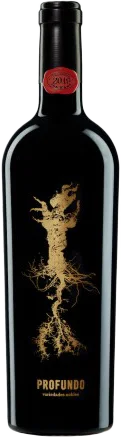 Profundo